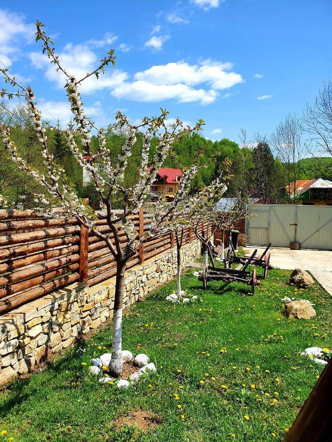 Rooms Poienita Slănic-Moldova Exteriör bild
